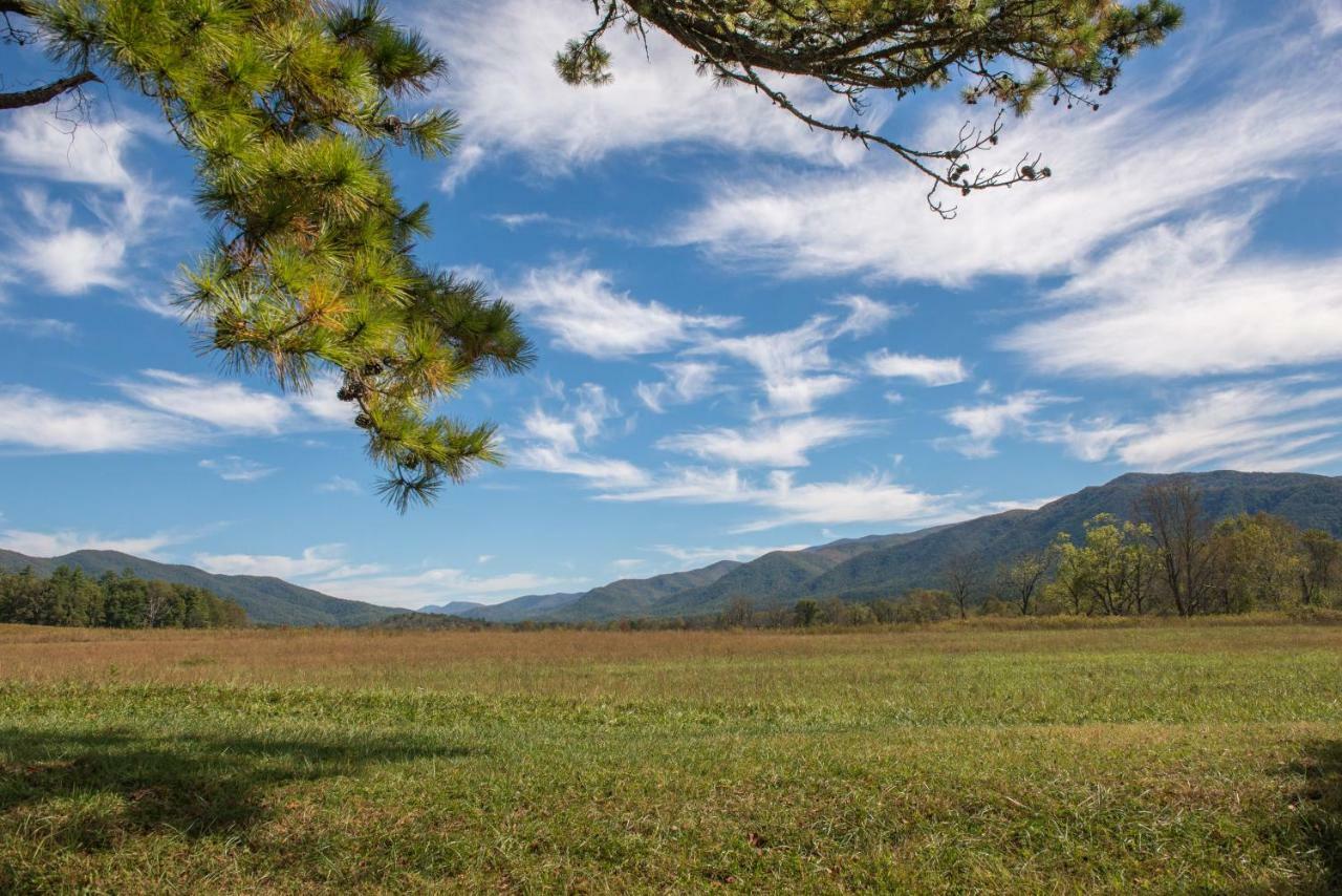 Awesome View Villa Henderson Springs Екстериор снимка